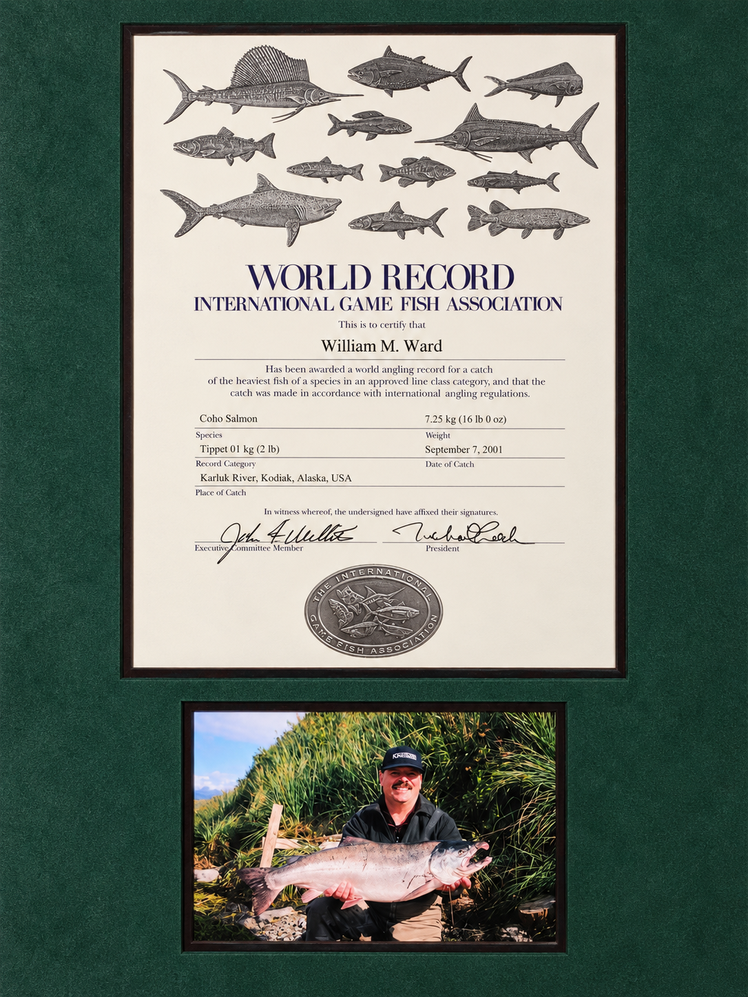 IGFA World Record certificate for Bill Ward's 16 lb coho salmon on 2 lb tippet, Karluk River, Kodiak, Alaska, September 7, 2001